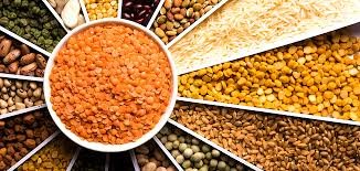 Indian Origin Pulses